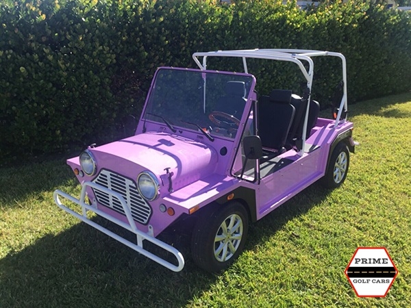 affordable golf cart rental, golf cart rent gainesville